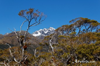 Key Summit - Fiordland - Nouvelle-Zlande