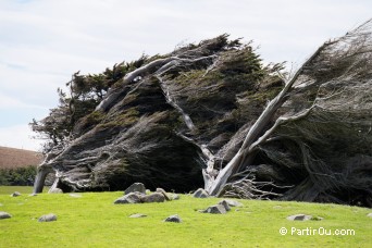 Southland - Nouvelle-Zlande