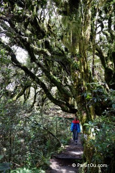 Balade sur le Mont Taranaki - Nouvelle-Zlande