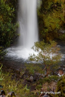 Cascade Dawson - Taranaki - Nouvelle-Zlande