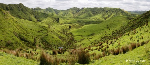 Forgotten World Highway - Nouvelle-Zélande
