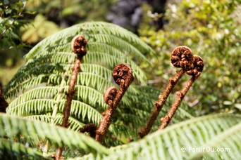 Abel Tasman National Park - Nouvelle-Zlande