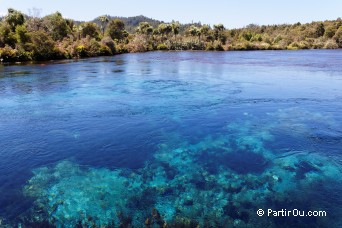 Pupu Springs - Golden Bay - Nouvelle-Zlande