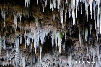 Rawhiti Cave - Golden Bay - Nouvelle-Zlande