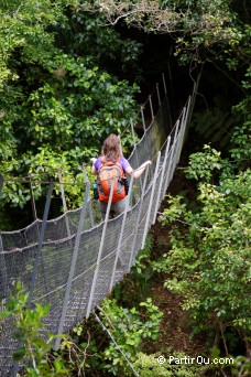 Wainui Falls - Abel Tasman National Park - Nouvelle-Zlande