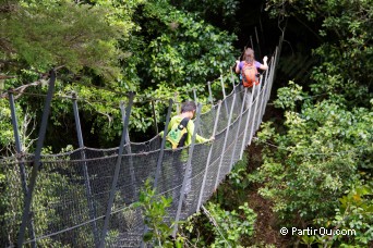 Randonnée - Parc national Abel Tasman