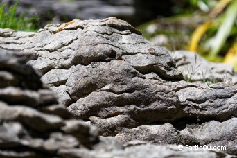 Labyrinth Rocks Park - Golden Bay - Nouvelle-Zlande