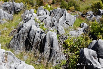 Takaka Hill Road - Nouvelle-Zlande