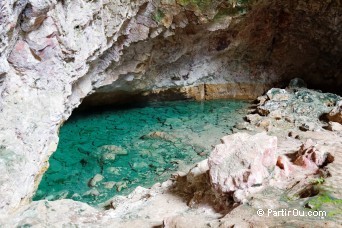 Grotte Ruatapu - Orakei Korako - Nouvelle-Zélande