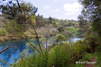 Spa Thermal Park - Taupo - Nouvelle-Zélande