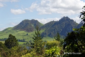 Rserve de Whakamaru - Nouvelle-Zlande