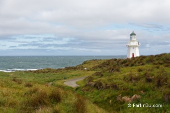 Waipapa Point - The Catlins - Nouvelle-Zlande