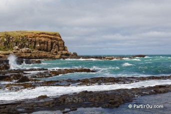 The Catlins - Nouvelle-Zlande