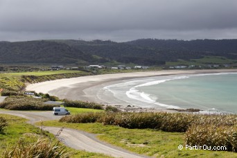 Curio Bay - The Catlins - Nouvelle-Zlande