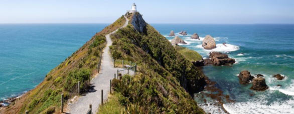 Nugget Point - The Catlins - Nouvelle-Zlande