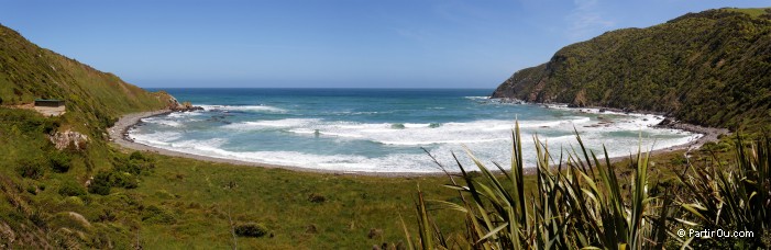 Roaring Bay - The Catlins - Nouvelle-Zlande