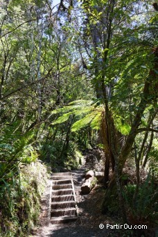 Tongariro Alpine Crossing - Nouvelle-Zlande