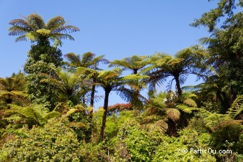 Disctrict de Waitomo - Nouvelle-Zlande