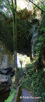 Mangapohue Natural Bridge - Waitomo - Nouvelle-Zlande