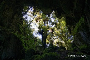 Mangapohue Natural Bridge - Waitomo - Nouvelle-Zlande