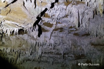 Disctrict de Waitomo - Nouvelle-Zlande