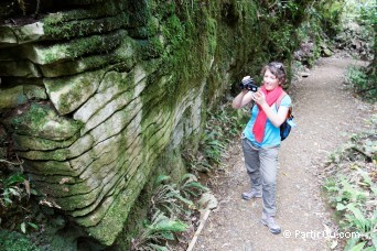 Rserve Ruakuri - Waitomo - Nouvelle-Zlande