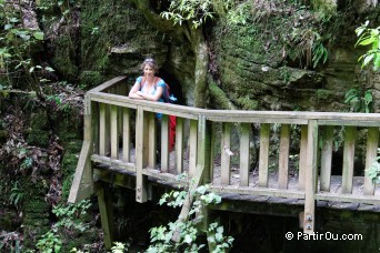 Rserve Ruakuri - Waitomo - Nouvelle-Zlande