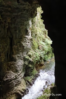 Rserve Ruakuri - Waitomo - Nouvelle-Zlande