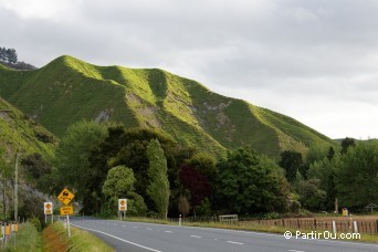 Nouvelle-Zlande