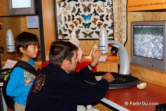 Te Papa - Wellington - Nouvelle-Zlande