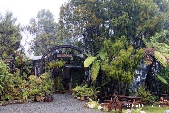 Mitchells Gully Gold Mine