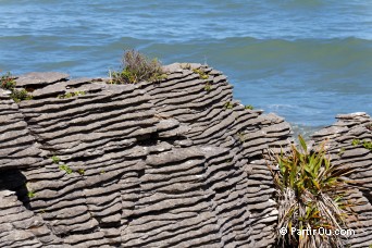 Rgion de West Coast - Nouvelle-Zlande