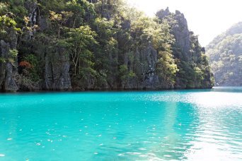 Lac Kayangan sur l'île de Coron - Philippines