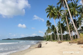 Cte au nord d'El Nido - Philippines