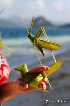 Insectes confectionns avec des feuilles de palmier - Philippines