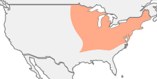 Nord-Est des tats-Unis