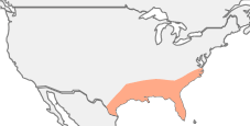 Sud-Est des tats-Unis