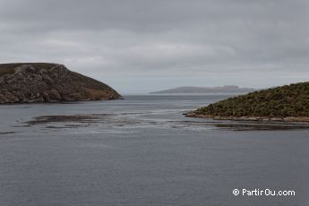 West Point Island - Malouines