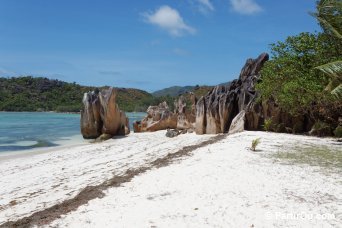 Laraie Baie - Curieuse - Seychelles