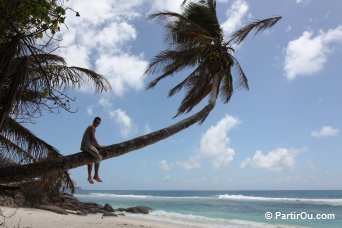 aux Seychelles