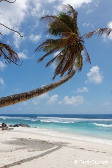 Anse Parnel - Mah - Seychelles