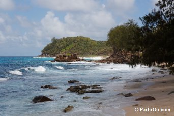 Petite Police - Mah - Seychelles