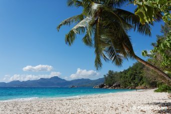 L'le de Mah - Seychelles