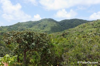 L'le de Praslin - Seychelles