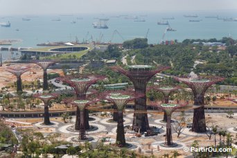 Gardens by the Bay - Singapour