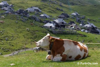 Velika Planina - Slovnie