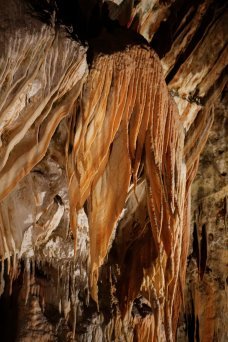 Grotte de Postojna - Slovnie