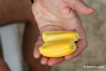 Fruit du jacquier