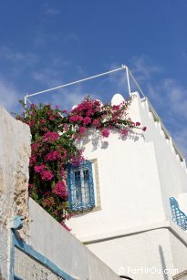 Mdina de Hammamet - Tunisie