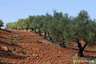 rgions intrieures et le dsert tunisien